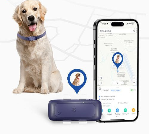 Pet Live Update GPS Tracker
