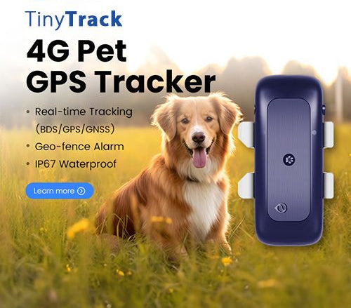 Pet Live Update GPS Tracker